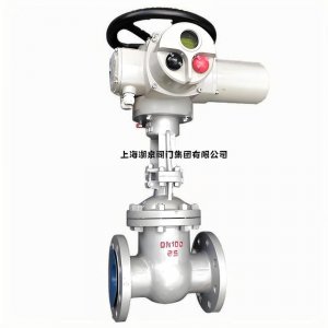 不銹鋼316電動閘閥dn100